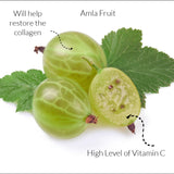 Amla Powder 100g Box