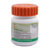 PATANJALI RAJ PRAVARTINI VATI 40 TABLETS