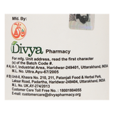 Patanjali DIVYA RASNA CHURNA 50 G