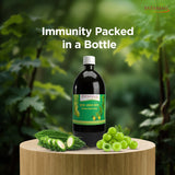 Patanjali Karela Amla Juice 500g EXPORT QUALITY