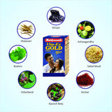 Baidyanath Vita Ex Gold Plus 20 Capsules