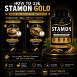STAMON GOLD daily stamina booster for men and women
