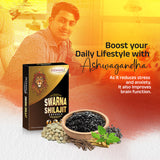 patanjali Swarna Shilajit - 10 Capsules