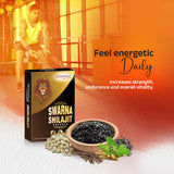 patanjali Swarna Shilajit - 10 Capsules